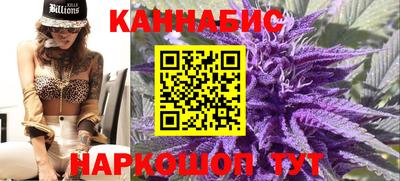 крисы Ливны