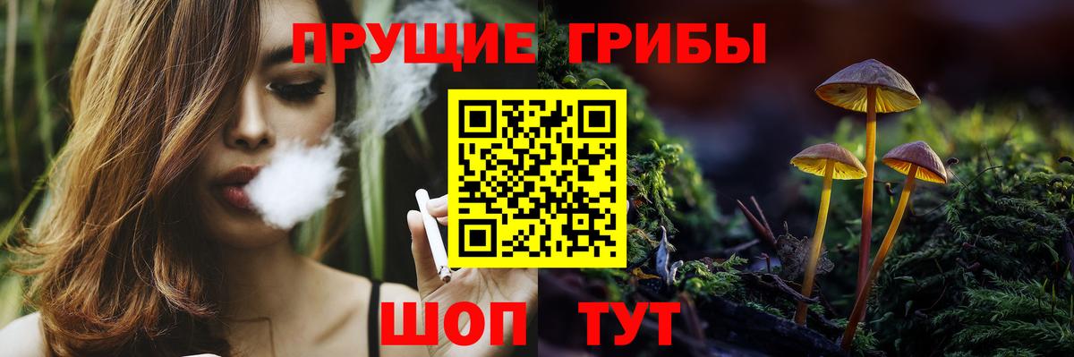 Псилоцибиновые грибы GOLDEN TEACHER  Вход с VPN  Кашира  Галлюциногенные грибы Psilocybe 
